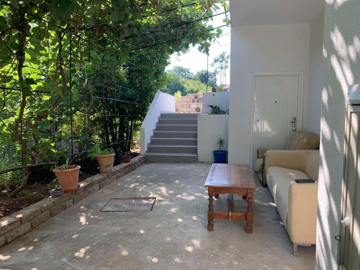 Apartman Vila Alexandria Markovici
