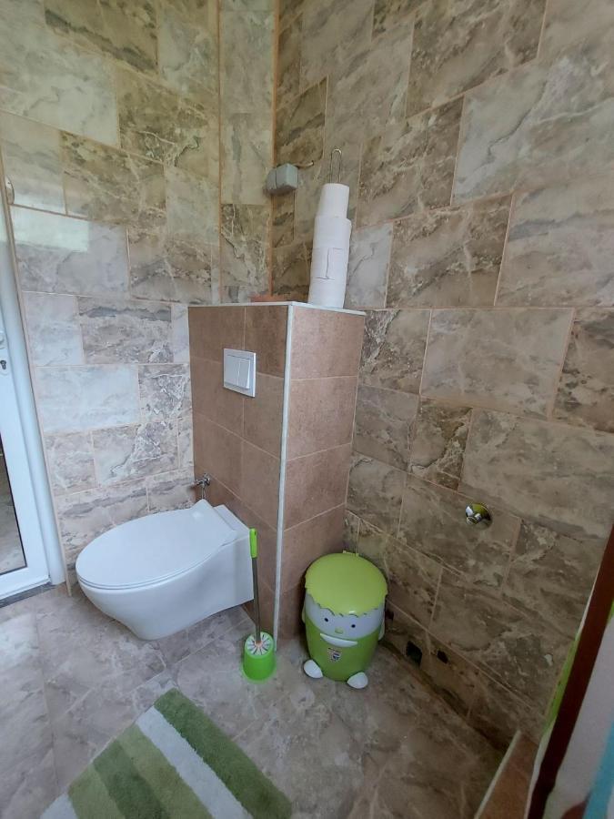 Apartman Vila Alexandria Markovici