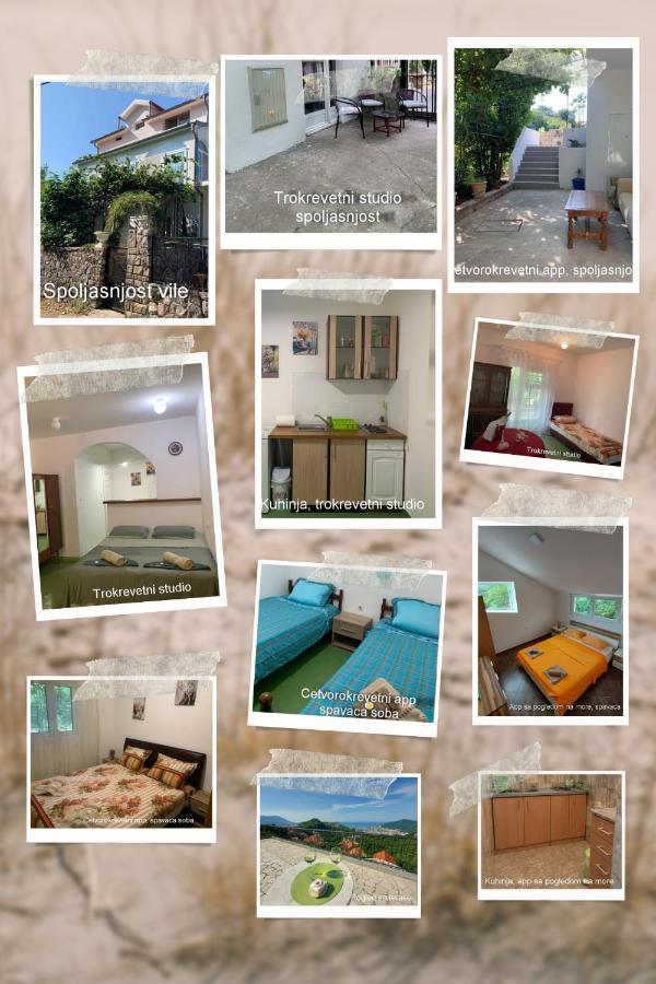 Apartman Vila Alexandria *