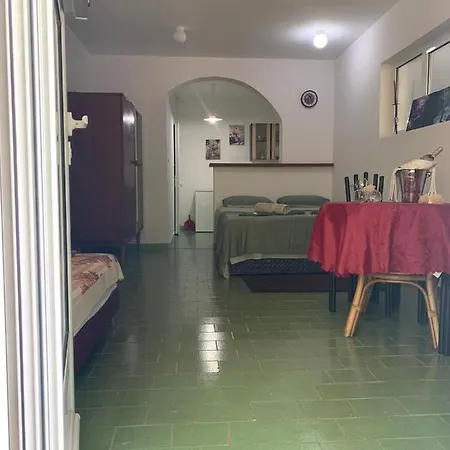Vila Alexandria Apartment Markovici Exterior photo