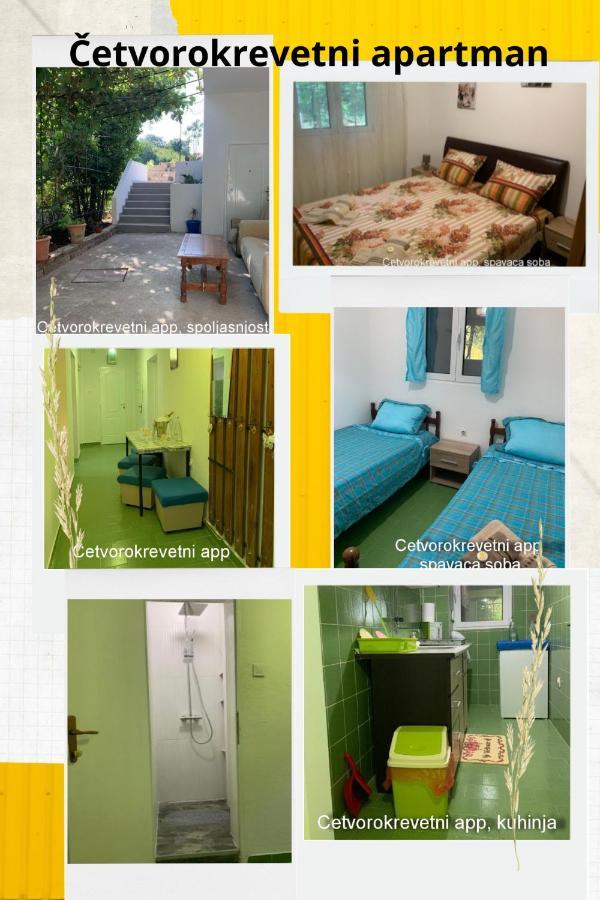 Vila Alexandria * Markovici
